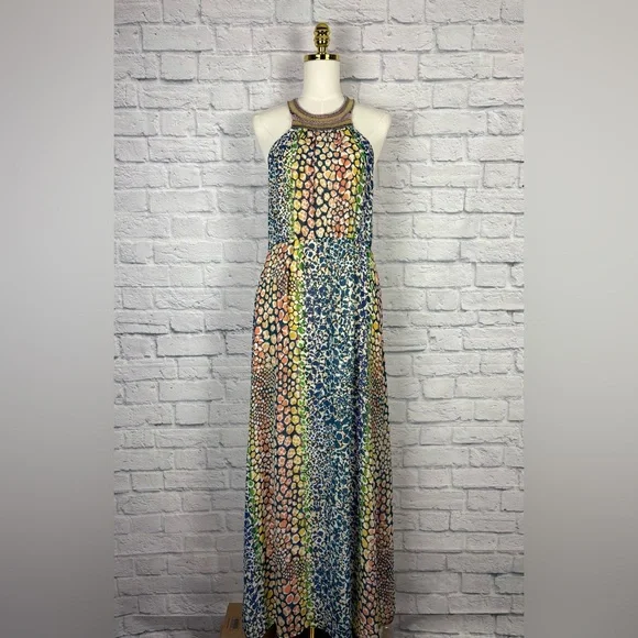 Anthropologie HD in Paris Mayacamas Maxi Dress Size 6 - Picture 2 of 8